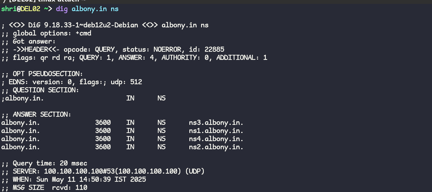 Image showing output of dig tool